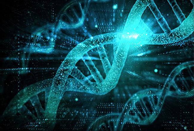 Epigenetics | Sana Dental | General & Family Dentist | North Edmonton
